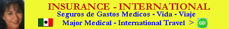 seguros,seguros medicos,international medical insurance,seguros-insurance.com